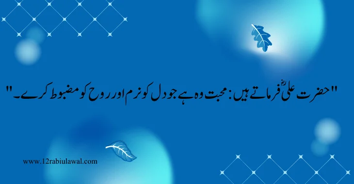 33 Hazrat Ali (R.A) Quotes In Urdu About Love 2024